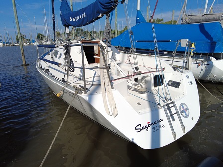 DCIM101MEDIADJI_0703.JPG pandora 31