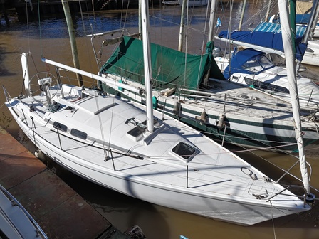 Albatros_9_50_16