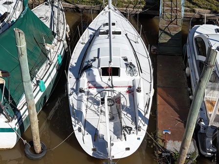 Albatros_9_50_7